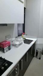 Wishart Road (D4), Condominium #502511001